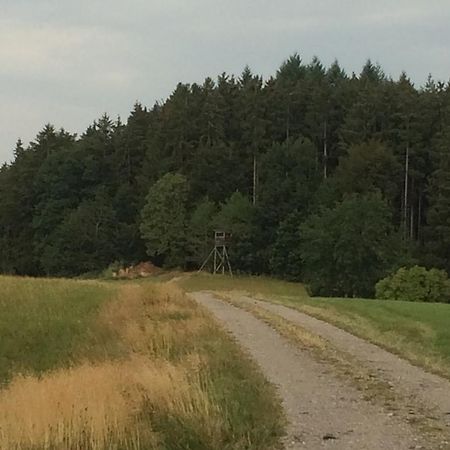 Pension Silberdistel Ühlingen-Birkendorf Exteriör bild
